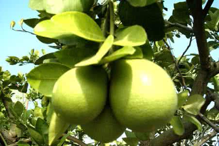 九游娱乐通道案例展示一